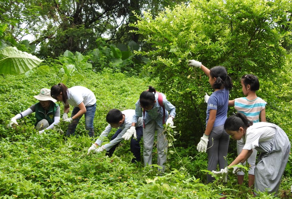 自然学校试点建设及示范推广