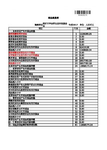 017华基金项目年报"